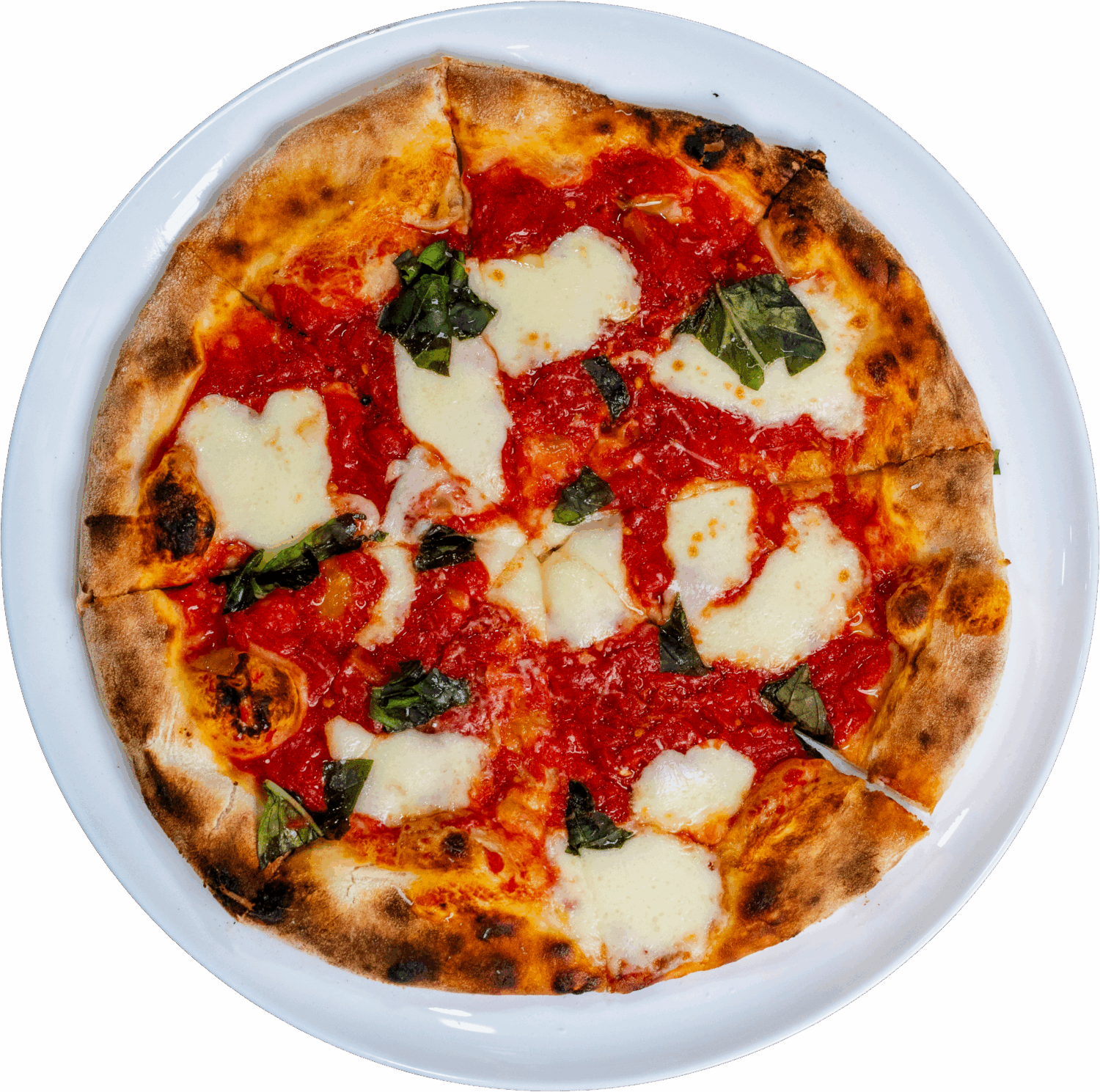 Locale Margharita Pie Spinner